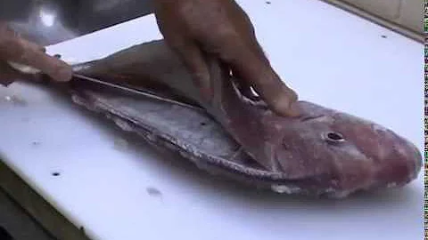 How to fillet, skin and bone snapper