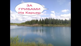 За грибами на карьеры