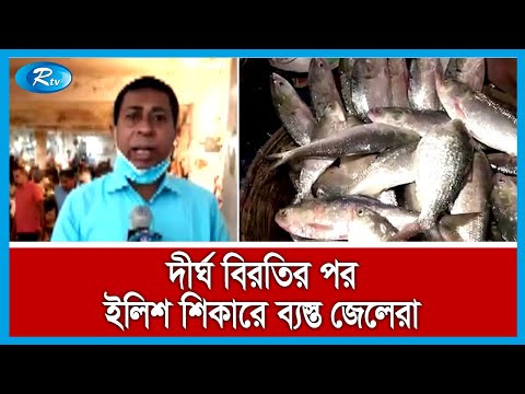 ভিডিও: বেগুন গাছ 