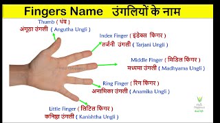 Fingers name in Hindi and English | उंगलियों के नाम हिंदी और अंग्रेजी में