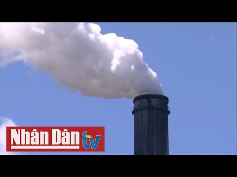 Video: Loại nhà máy nào gây ô nhiễm không khí?
