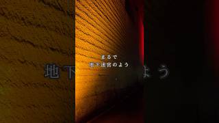 【宇都宮】大谷資料館🪨ロケ地としても人気の広大な地下採掘場跡✨@こっこっちwalk #vlog #大谷資料館#栃木県 #宇都宮市 #ロケ地#shorts