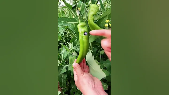 Mini Micro camera #shorts #youtubeshorts #reels