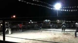 Bull Riding at western trails