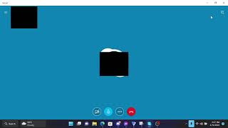 Skype 12 1815 on Windows 11 Insider Preview (25136.1000 Dev Channel) screenshot 5