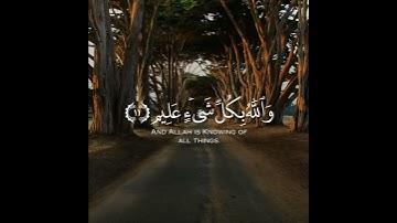 اروع تلاوة القران الكريم ب صوت القارئ رعد محمد الكردى سورة التغابن آجمل حالات واتس اب قرآنيه