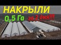 Накрытие теплицы пленкой / Все правила и секреты тут!