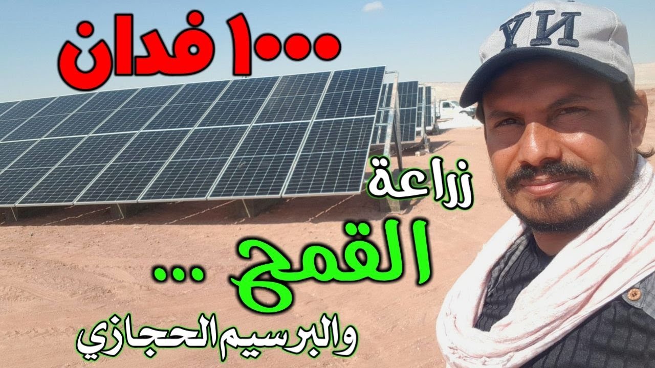 1000 فدان فى الوادى الجديد استصلاح لزراعة القمح والبرسيم الحجازى من البداية للنهاية