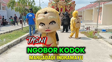 NGOBOR KODOK - TASNI PUTRA PA