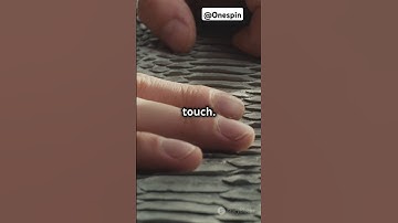 Why Do We Have Fingerprints? | The Science Behind Unique Patterns