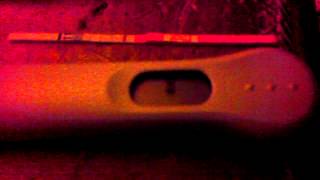 Bfp 13dpo