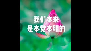 201804 我们本来是本觉本明的20856