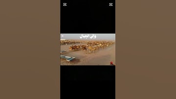 القرآن الكريم راحة نفسية ♥️#اسلام #اكسبلور #المصحف #قرآن