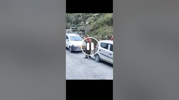 Wild leopard playing with people in Banjar (Kullu) | Leopard on roads | Tirthan valley