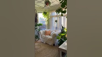 Indoor Plants Home Decor Ideas | Plant Decor at Home