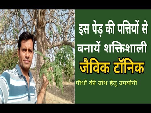 फसल की ग्रोथ के लिए घर पर बनाये जैविक टॉनिक | Organic Tonic for Crops Growth