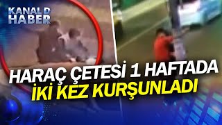 Yine Daltonlar Çetesi Yine Dehşet 1 Haftada İki Kez Kurşunladılar 