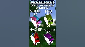 Minecraft NOOB vs PRO vs HACKER vs TALENTED(GOD)! Pause at the right time? #shorts
