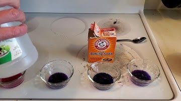 Cabbage, Baking Soda, and Vinegar