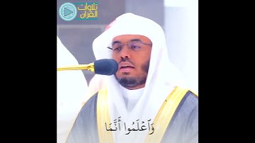 عدنا... ومع تلاوة مُمَيَّزة للشيخ ياسر الدوسري✨🌿 | #تلاوات_القرآن