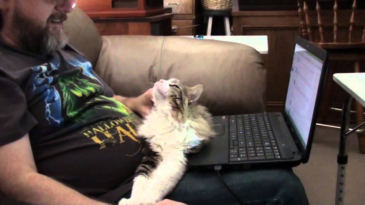 manic depressive disorder quiz CHECKING ON THE LAWN