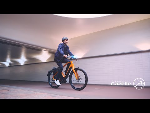 Gazelle Nº1 - einzigartiges E-Bike  - Speed pedelec