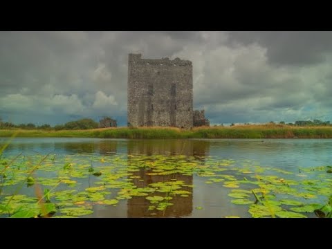 Is this the castle on the Biscuit tin 🤷‍♂️ Pt2 Threave, #scotland #travelling #castle #carlife
