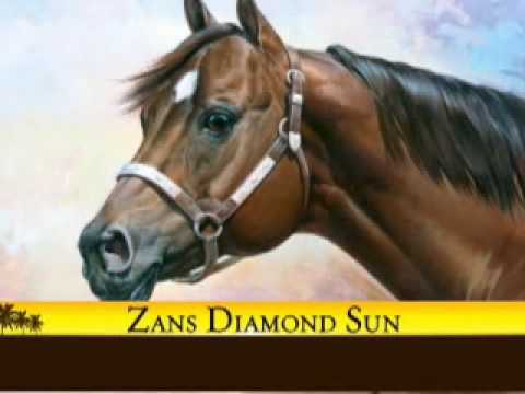 Zan Parr Bar Part 1 (AQHA Hall of Fame Induction)