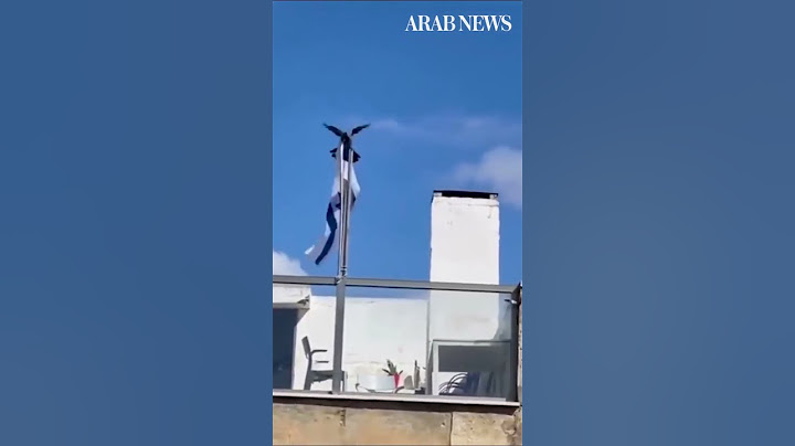 Crow throwing down Israel flag goes viral on the internet