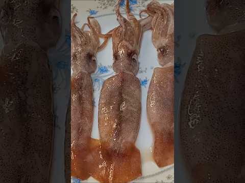 تنضيف السيبيا أو السبيط الحبار