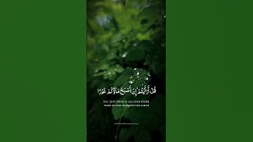 سورة الملك ـ راحة نفسية