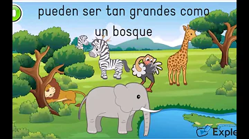 Che cos'è l'habitat di un animale?