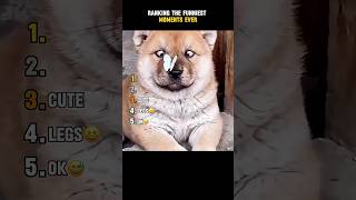 Ranking the Funniest Moments Ever 😂