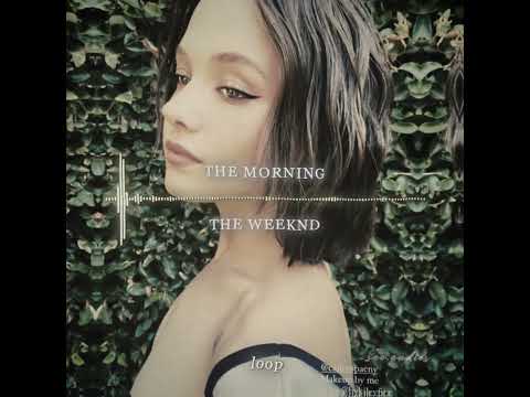 the morning -