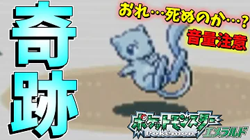 ポケモン ミュウ エメラルド