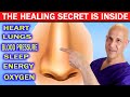 Discover this health booster inside your nose that heals your body  dr mandell