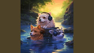 Relaxing Pets Stream Echo
