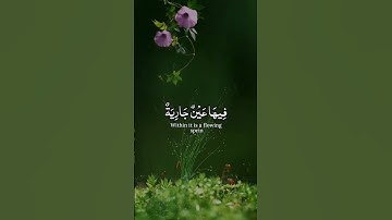 سورة الغاشية _ تلاوة هادي راحه نفسيه🫀 _ اكتب شيء تؤجر عَليه _ 🤲🏻_🩵_#QuranMajeed768#quran