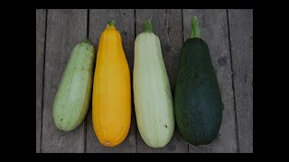 Не Знаете, Что Приготовить Из Кабачков? 5 Рецептов Вкусных Блюд