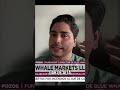 Invertir desde $20 con Blue Whale Markets ¡Fácil! #shorts
