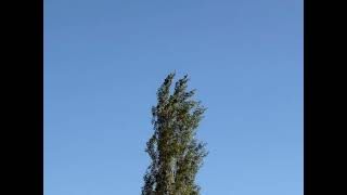 Sknd1L, Tyxxni3, Loxxy - New Era Pt. 4