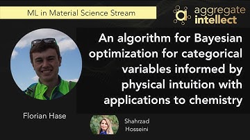 An algorithm for Bayesian optimization for categorical variables informed by physical intuition with