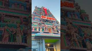 Murugan Temple/ Chennai #Om #Murugan #Travel #Chennai #Tamil #Bhakti #Devotional #Thelastcholas