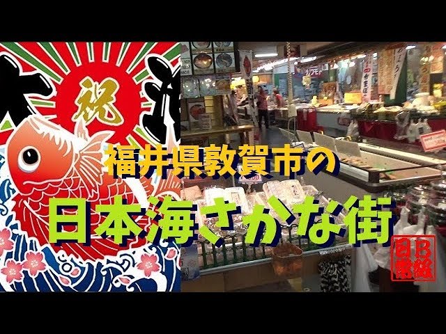 福井県敦賀市の日本海さかな街 Youtube 福井県敦賀市の日本海さかな街 Youtube