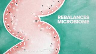 Plexus Triplex
