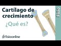 Cartílago de crecimiento - Qué es y cuál es su importancia