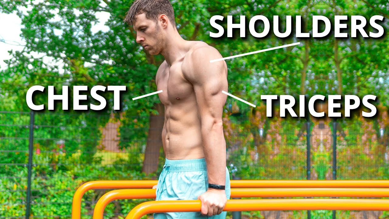 The Perfect Calisthenics PUSH Workout for Beginners  Advanced