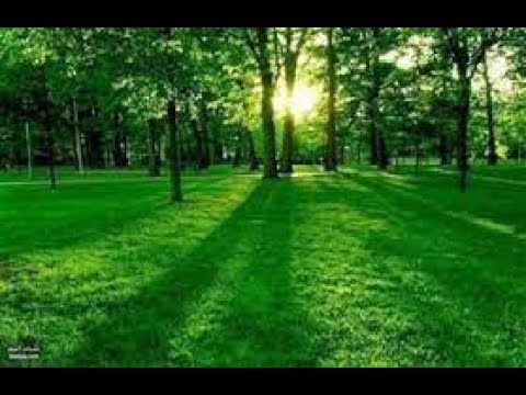 وصف حال اهل الجنه سورة الواقعه