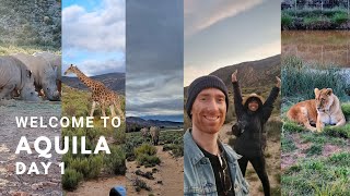 What to do in South Africa: The Big 5 at Aquila Game Reserve, Cape Town | Affordable Safari
