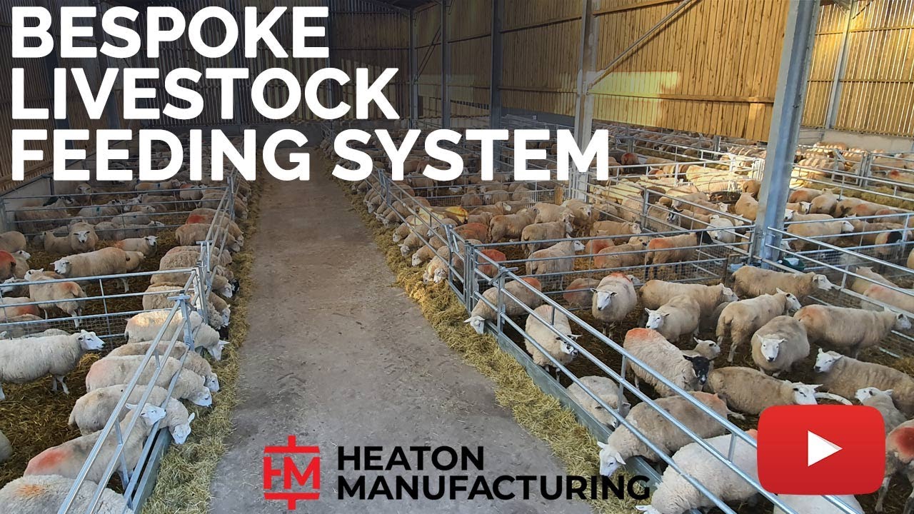 Bespoke Livestock Feeding System Heaton Manufacturing & Agricultural